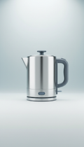 Stainless steel electric kettle